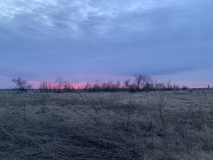 Kansas